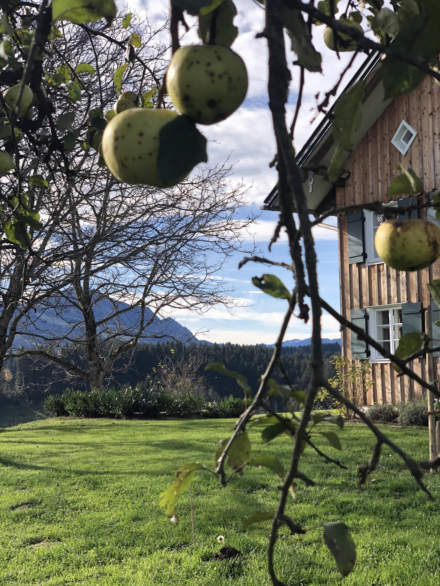 Traumgarten im Allgäu — Eldracher Garten- und Landschaftsbau
