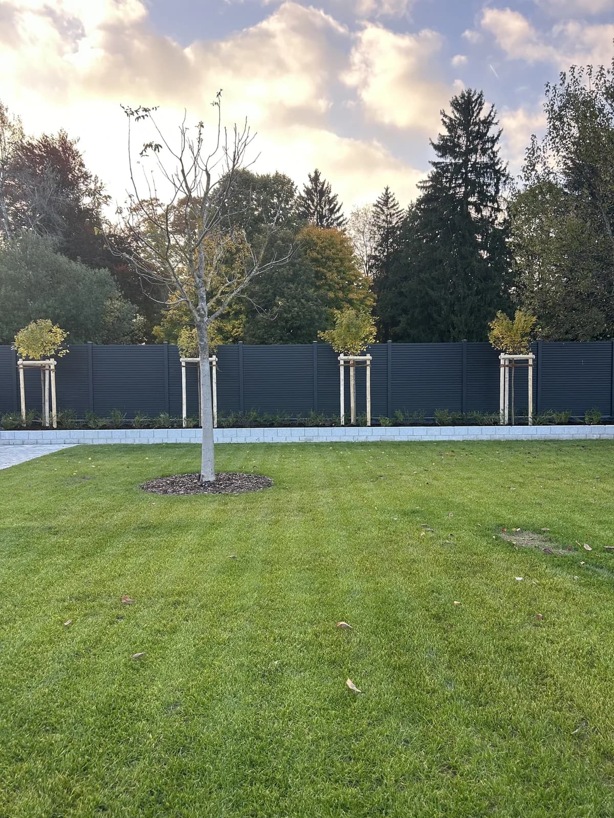 Sichtschutzlösung im Garten